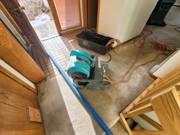 Best Water damage restoration process  in Ashwaubenon, WI