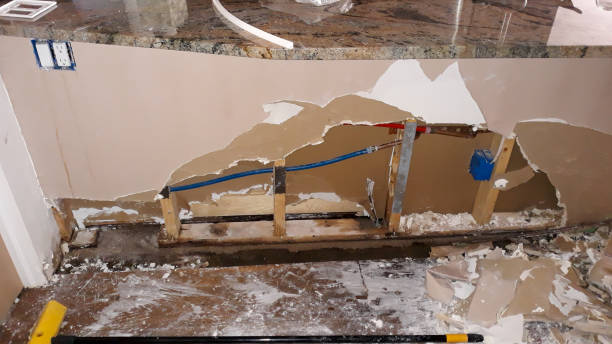 Best Professional water damage repair  in Ashwaubenon, WI