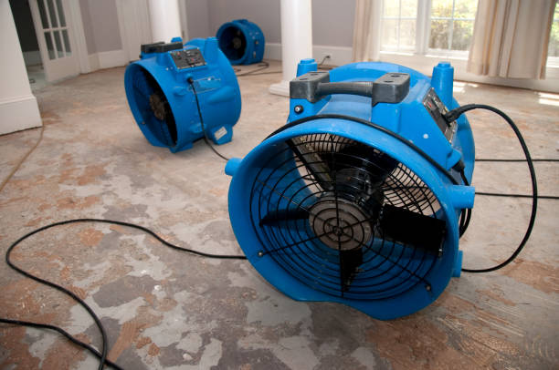 Best Water damage restoration near me  in Ashwaubenon, WI